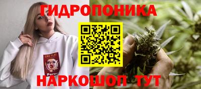 ГАЛЛЮЦИНОГЕННЫЕ ГРИБЫ Боровичи