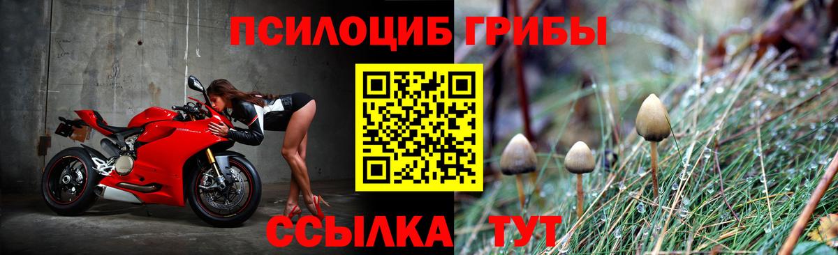 Псилоцибиновые грибы ЛСД Джанкой